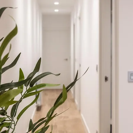 Azkuna Apartment